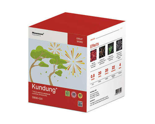Салют Kundung